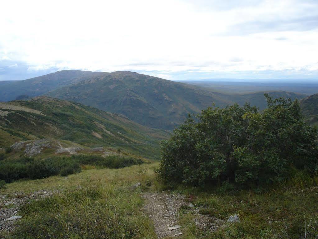 Denali Backcountry Lodge Dış mekan fotoğraf